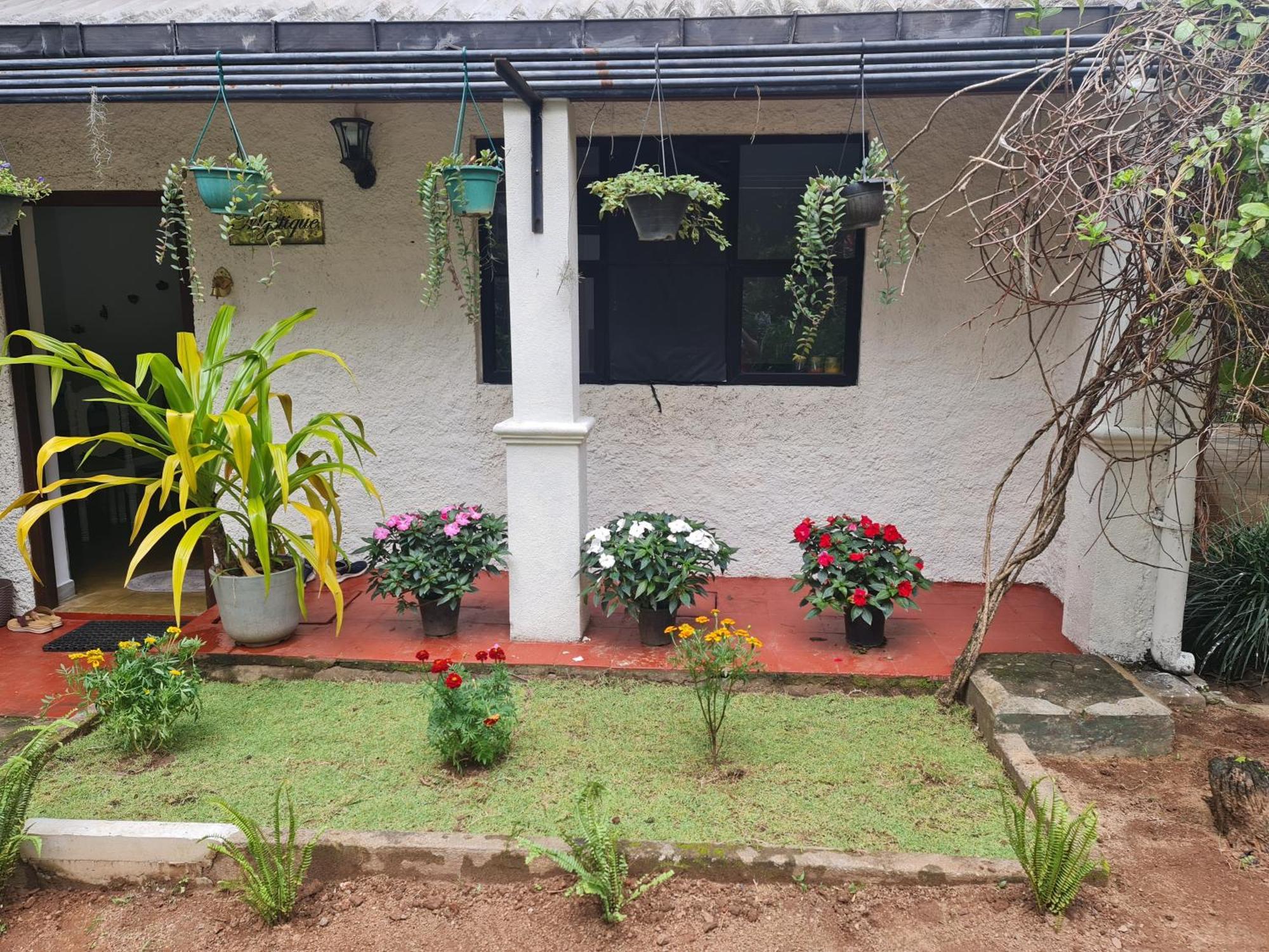 Hello Kandy Homestay Exterior foto
